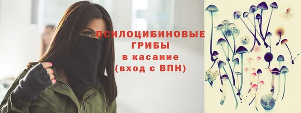 винт Пересвет