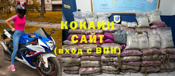 индика Балахна