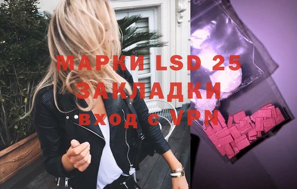 индика Балахна