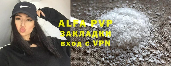 индика Балахна